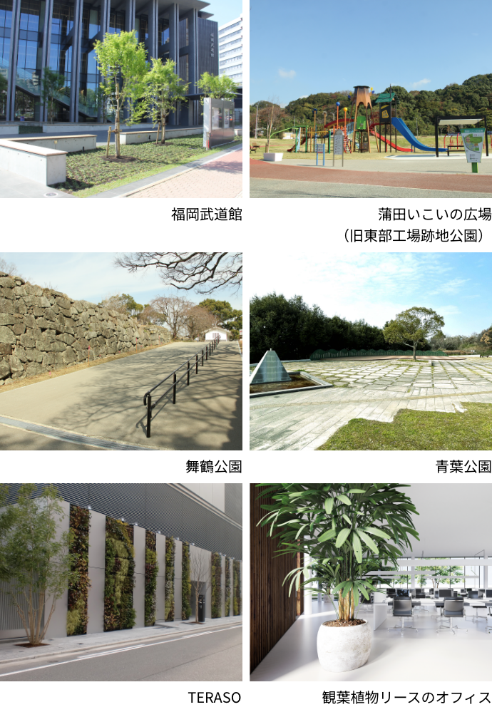 青葉公園｜蒲田いこいの広場（旧東部工場跡地公園）｜舞鶴公園｜福岡武道館｜観葉植物リースのオフィス｜TERASO